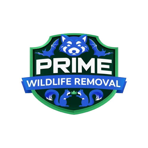 Wildlife Removal Newport